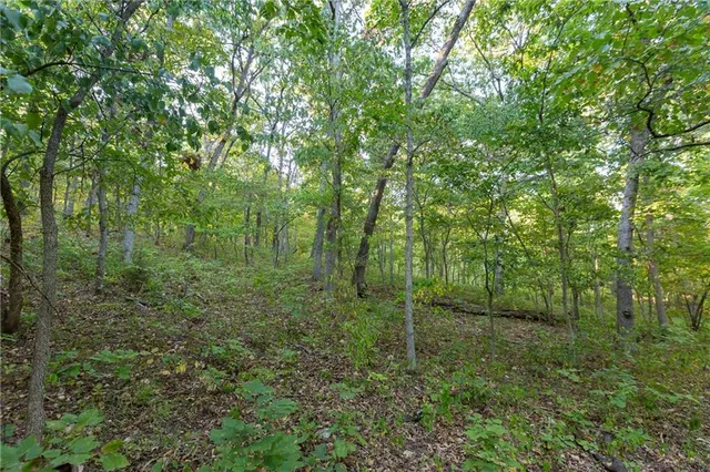 $319,000 | 0 Partridge Drive, Climax Springs, MO 65324