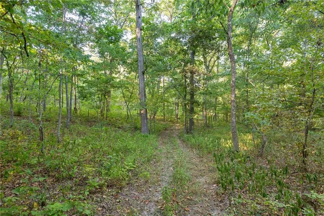 $319,000 | 0 Partridge Drive, Climax Springs, MO 65324