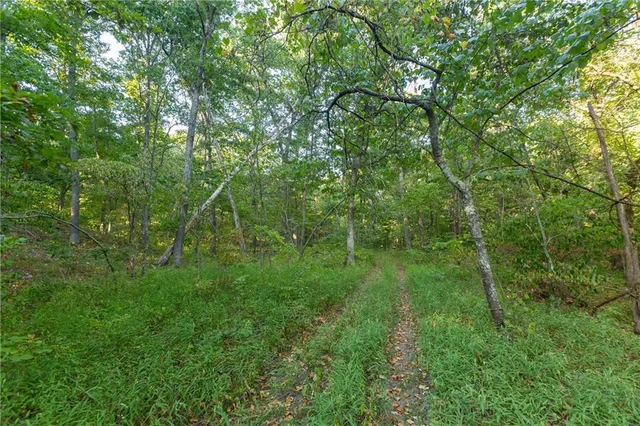 $319,000 | 0 Partridge Drive, Climax Springs, MO 65324