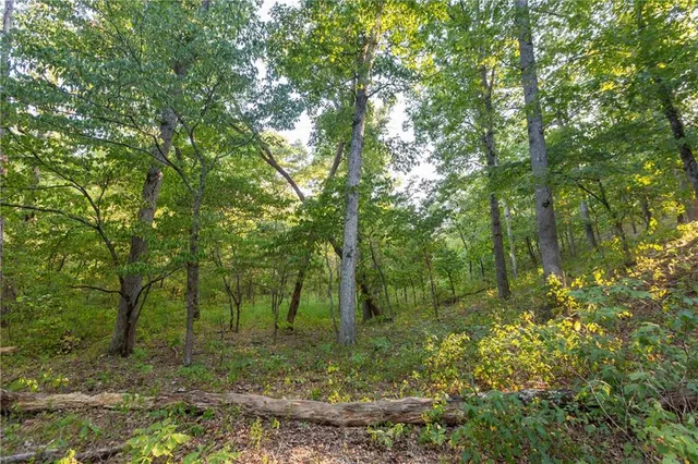 $319,000 | 0 Partridge Drive, Climax Springs, MO 65324