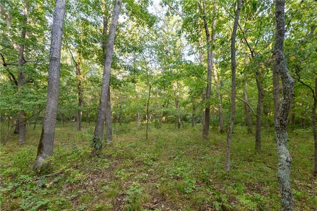 $319,000 | 0 Partridge Drive, Climax Springs, MO 65324