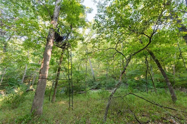 $319,000 | 0 Partridge Drive, Climax Springs, MO 65324