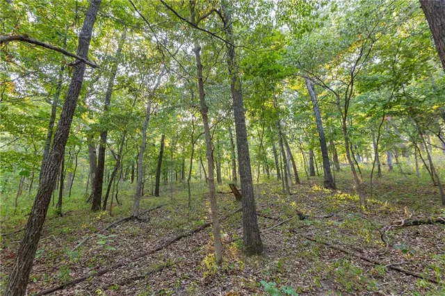 $319,000 | 0 Partridge Drive, Climax Springs, MO 65324