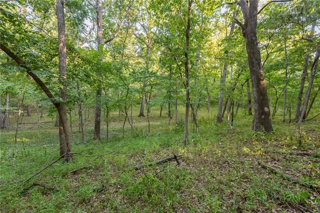 $319,000 | 0 Partridge Drive, Climax Springs, MO 65324