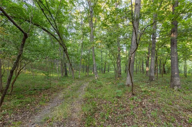 $319,000 | 0 Partridge Drive, Climax Springs, MO 65324