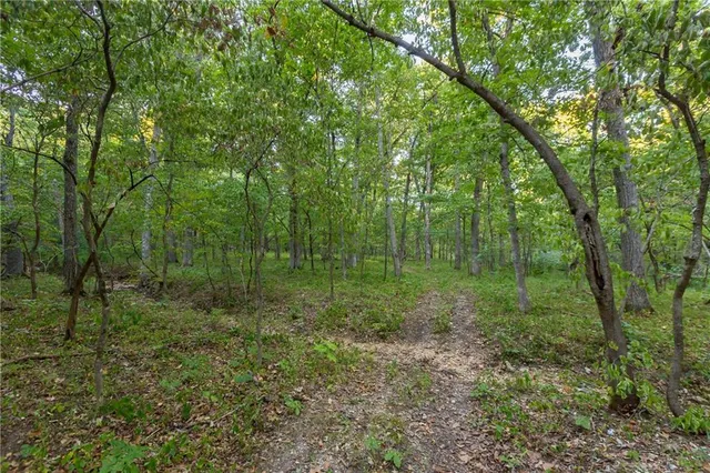 $319,000 | 0 Partridge Drive, Climax Springs, MO 65324