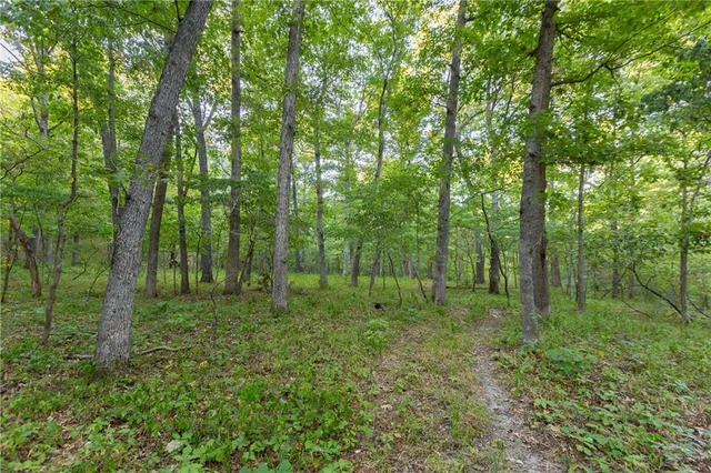 $319,000 | 0 Partridge Drive, Climax Springs, MO 65324