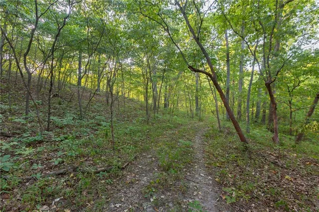 $319,000 | 0 Partridge Drive, Climax Springs, MO 65324