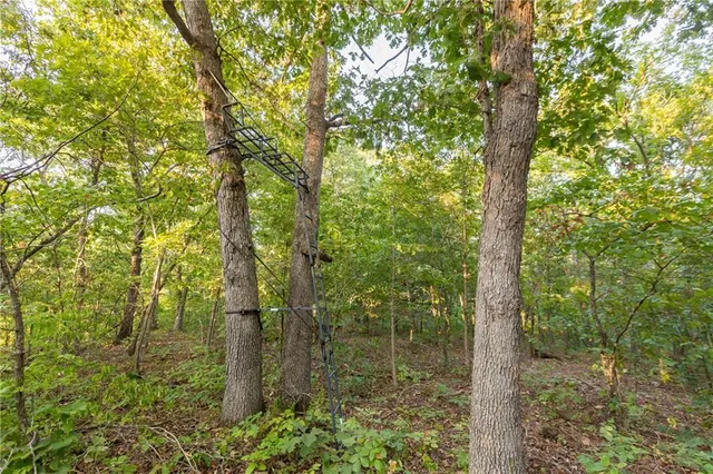 $319,000 | 0 Partridge Drive, Climax Springs, MO 65324