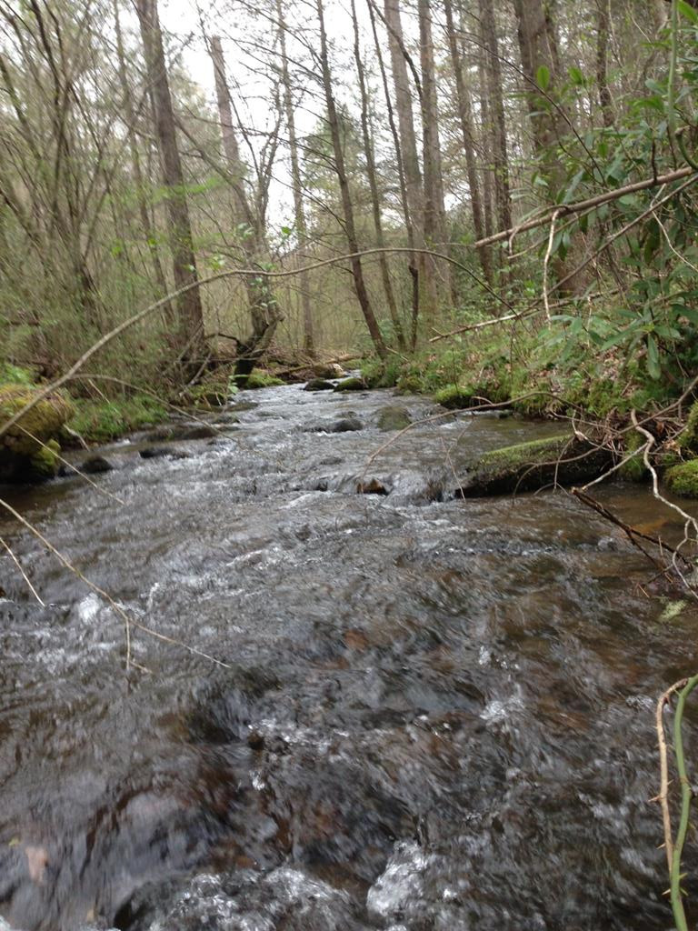 55 Greasy Creek Road Murphy, NC 28906 - Photo 1 of 3 Main View