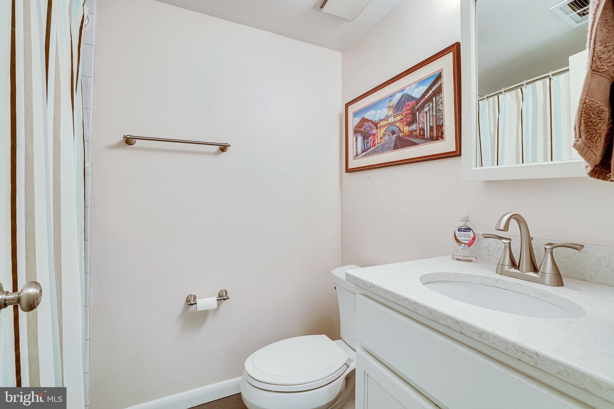 11621 Stoneview Square, Unit 22C Reston, VA 20191 - Photo 18 of 37 Full Hall Bath with granite vanity top