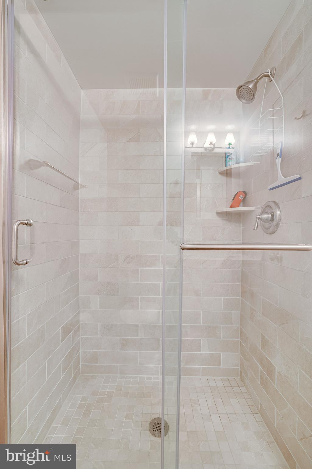 11621 Stoneview Square, Unit 22C Reston, VA 20191 - Photo 22 of 37 Primary Ensuite with seamless shower