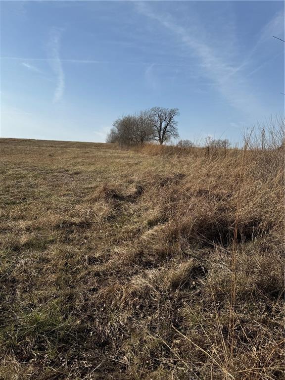 Plum Creek Road Osawatomie, KS 66064 - Photo 3 of 5