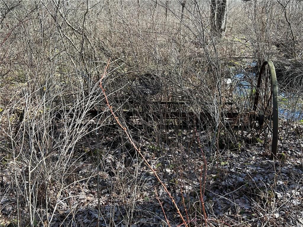 0 Lake Wilhelm Road Clarks Mills, PA 16114 - Photo 3 of 7 a view of a yard