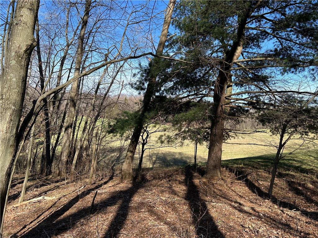 0 Lake Wilhelm Road Clarks Mills, PA 16114 - Photo 4 of 7 a view of a yard