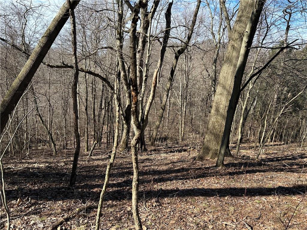 0 Lake Wilhelm Road Clarks Mills, PA 16114 - Photo 5 of 7 a view of a house with a yard