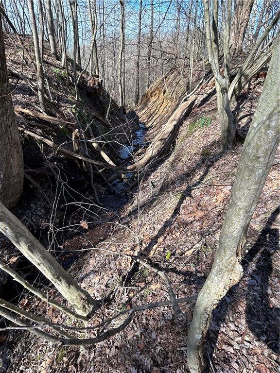 0 Lake Wilhelm Road Clarks Mills, PA 16114 - Photo 6 of 7