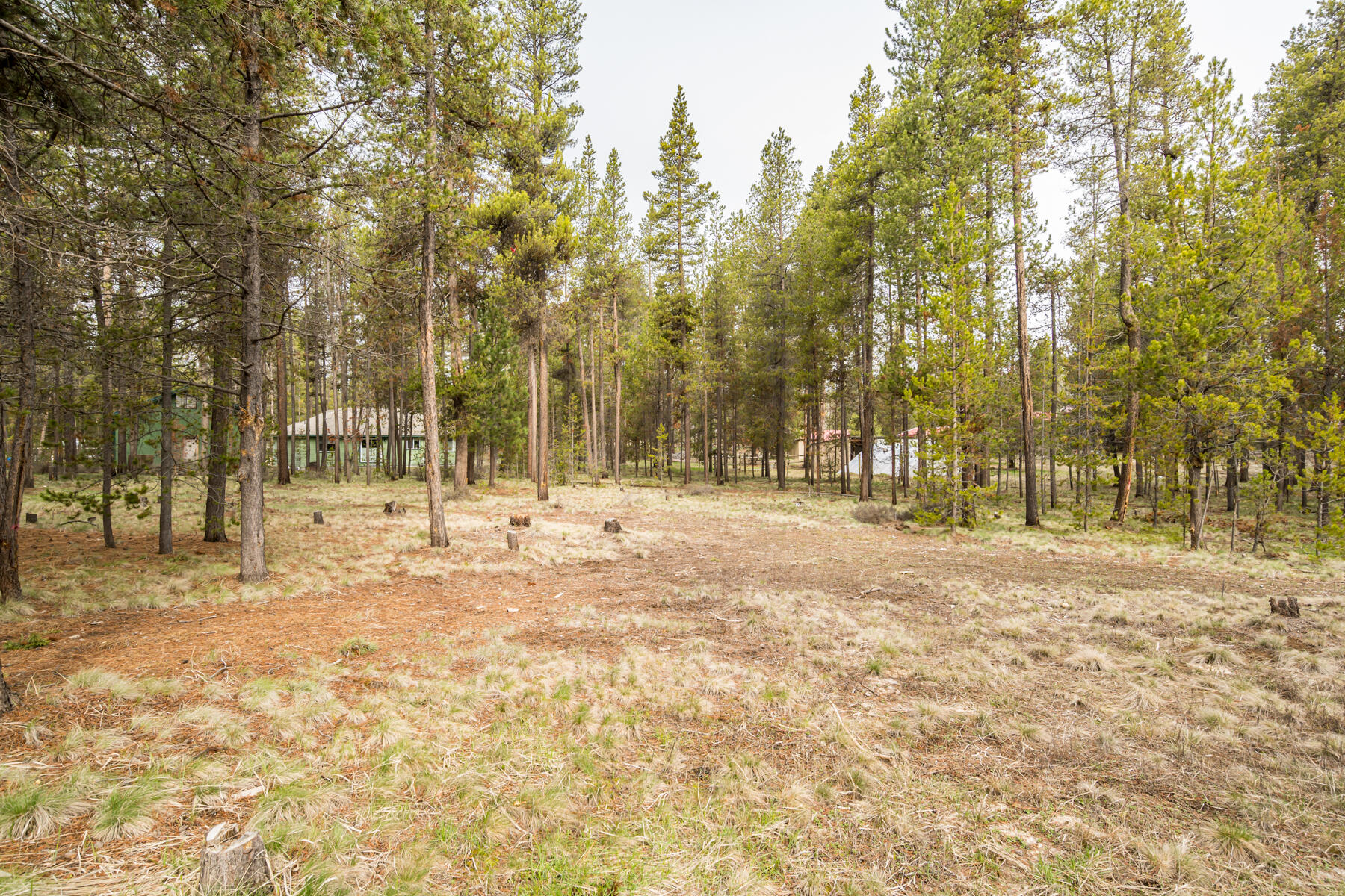 16028 Dick Road La Pine, OR 97739 - Photo 31 of 46 JH5_7898