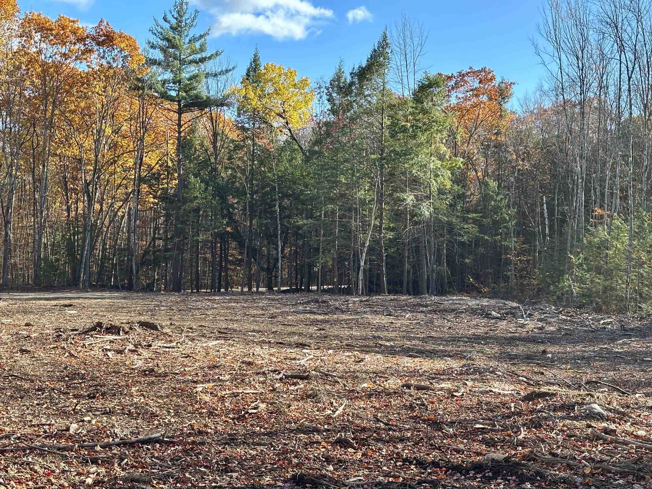 0 Fisher Road Deering, NH 03244 - Photo 4 of 19 Gallery Image 4