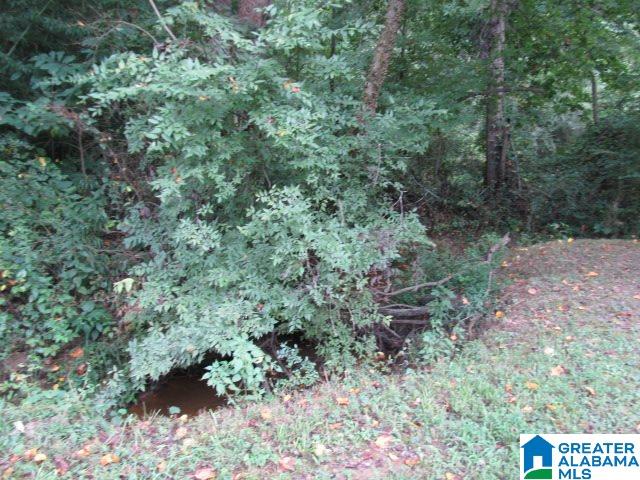 1628 Fowler Springs Road Blountsville, AL 35031 - Photo 35 of 38