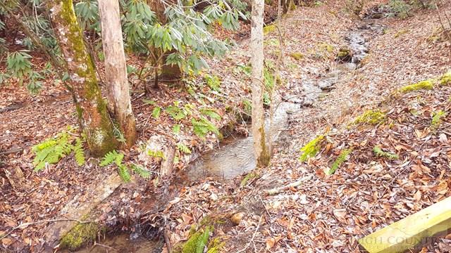 257 Ragan Road Todd, NC 28684 - Photo 18 of 26 Gallery Image 18