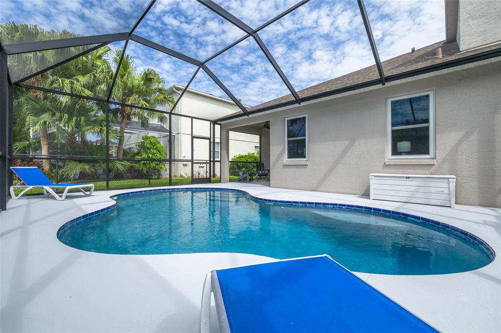 10632 Firebrick Court Trinity, FL 34655 - Photo 15 of 45