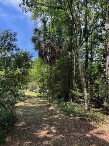 $135,000 | 0 Rutledge Drive, Eutawville, SC 29048