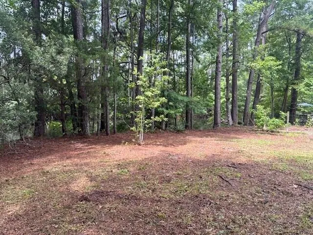 $135,000 | 0 Rutledge Drive, Eutawville, SC 29048