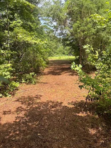 $135,000 | 0 Rutledge Drive, Eutawville, SC 29048