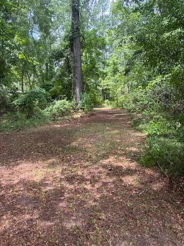 $135,000 | 0 Rutledge Drive, Eutawville, SC 29048