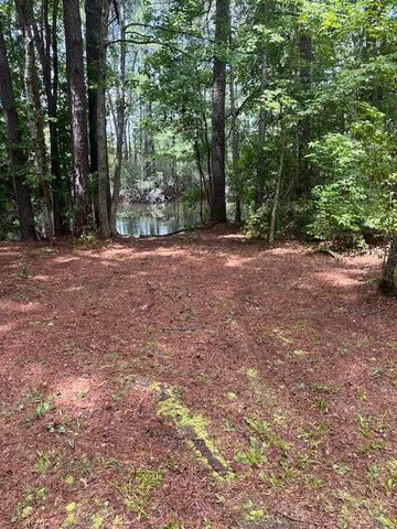 $135,000 | 0 Rutledge Drive, Eutawville, SC 29048