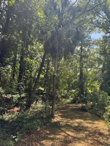 $135,000 | 0 Rutledge Drive, Eutawville, SC 29048