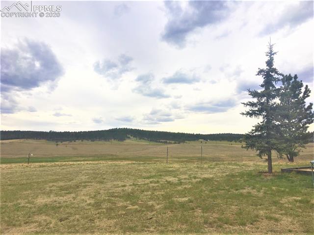 379 High Pasture Road Florissant, CO 80816 - Photo 3 of 20