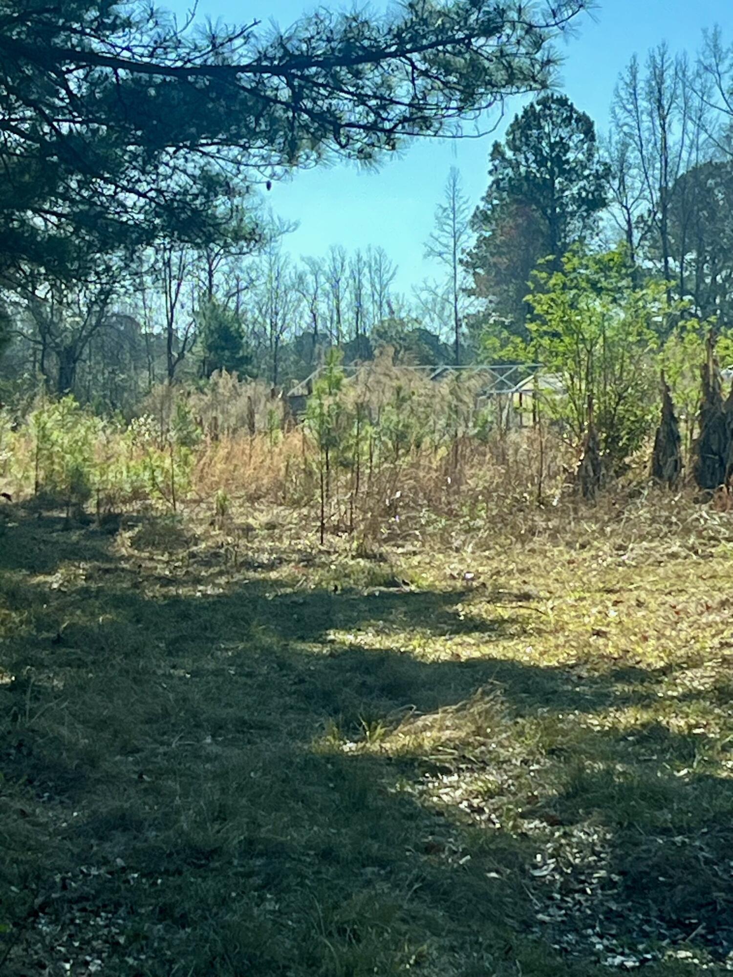 1366 Peirce Road Cottageville, SC 29435 - Photo 2 of 23 thumbnail_IMG_5556