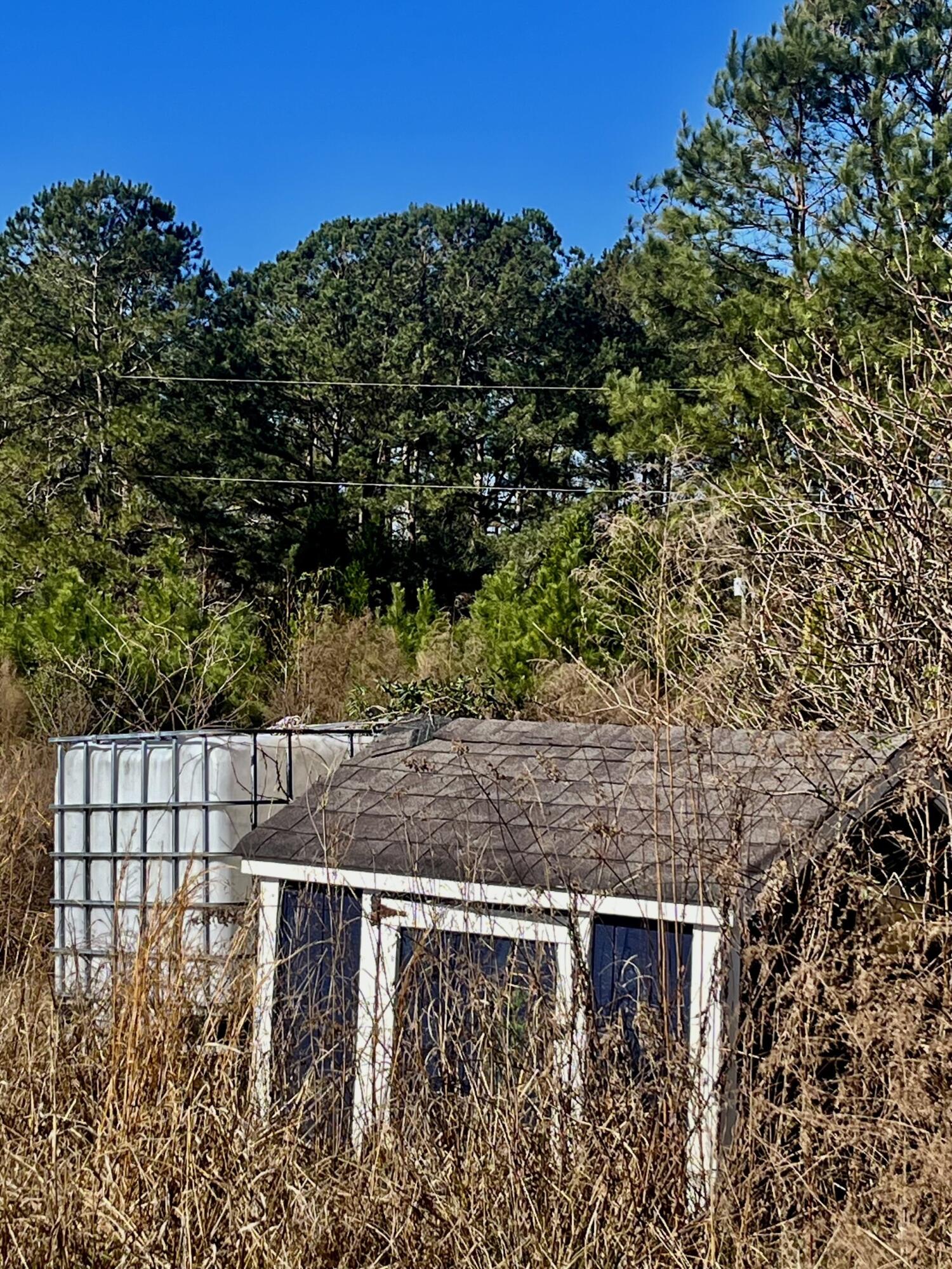 1366 Peirce Road Cottageville, SC 29435 - Photo 23 of 23 thumbnail_IMG_5569