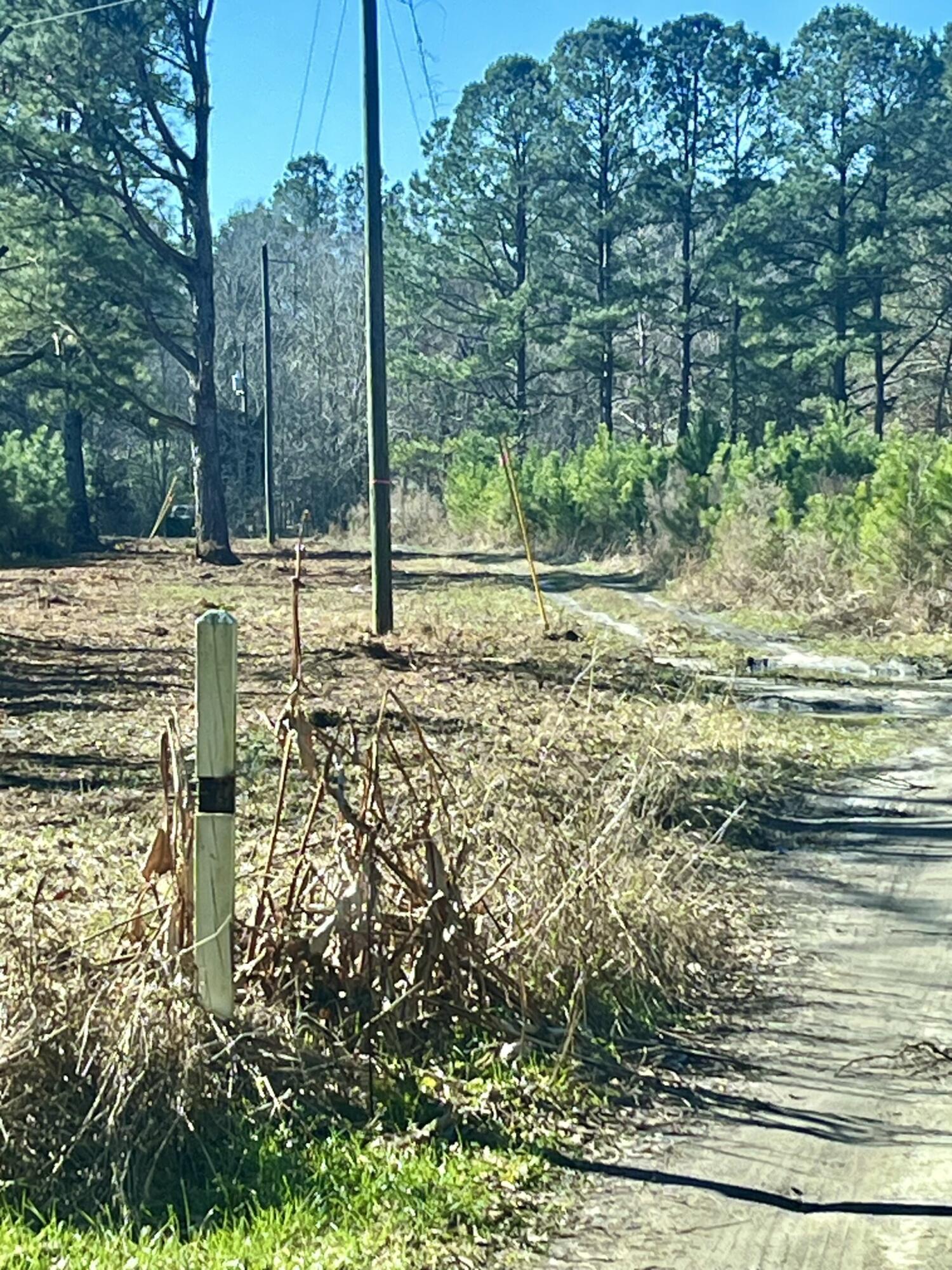 1366 Peirce Road Cottageville, SC 29435 - Photo 3 of 23 thumbnail_IMG_5555