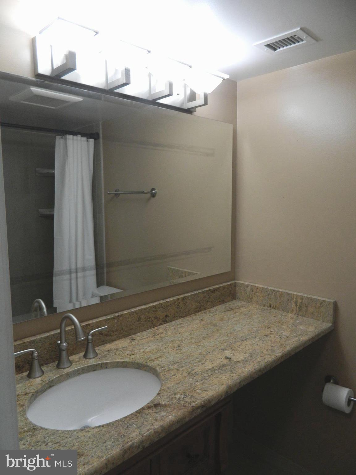 5936 Cove Landing Road, Unit 202B Burke, VA 22015 - Photo 16 of 21 Master Bathroom