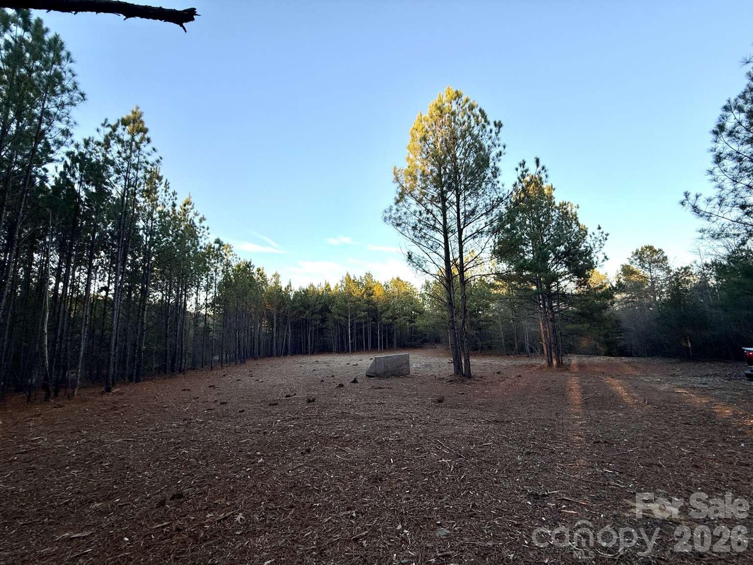 0 Steen Road Mount Croghan, SC 29727 - Photo 14 of 19 a view of outdoor space with tree s