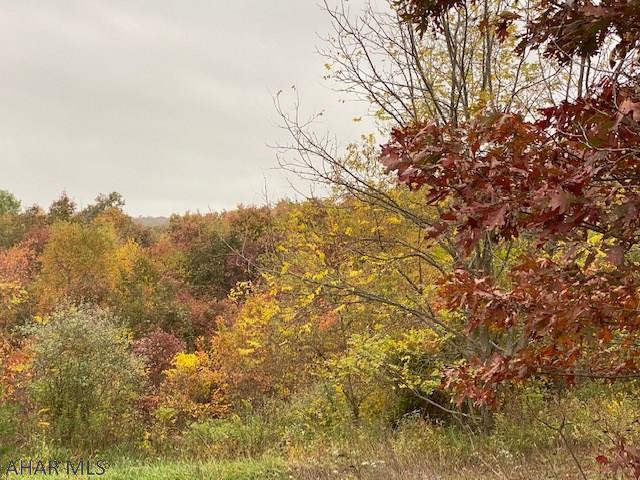 110 Mearkle Road Clearville, PA 15535 - Photo 20 of 35 Gallery Image 20