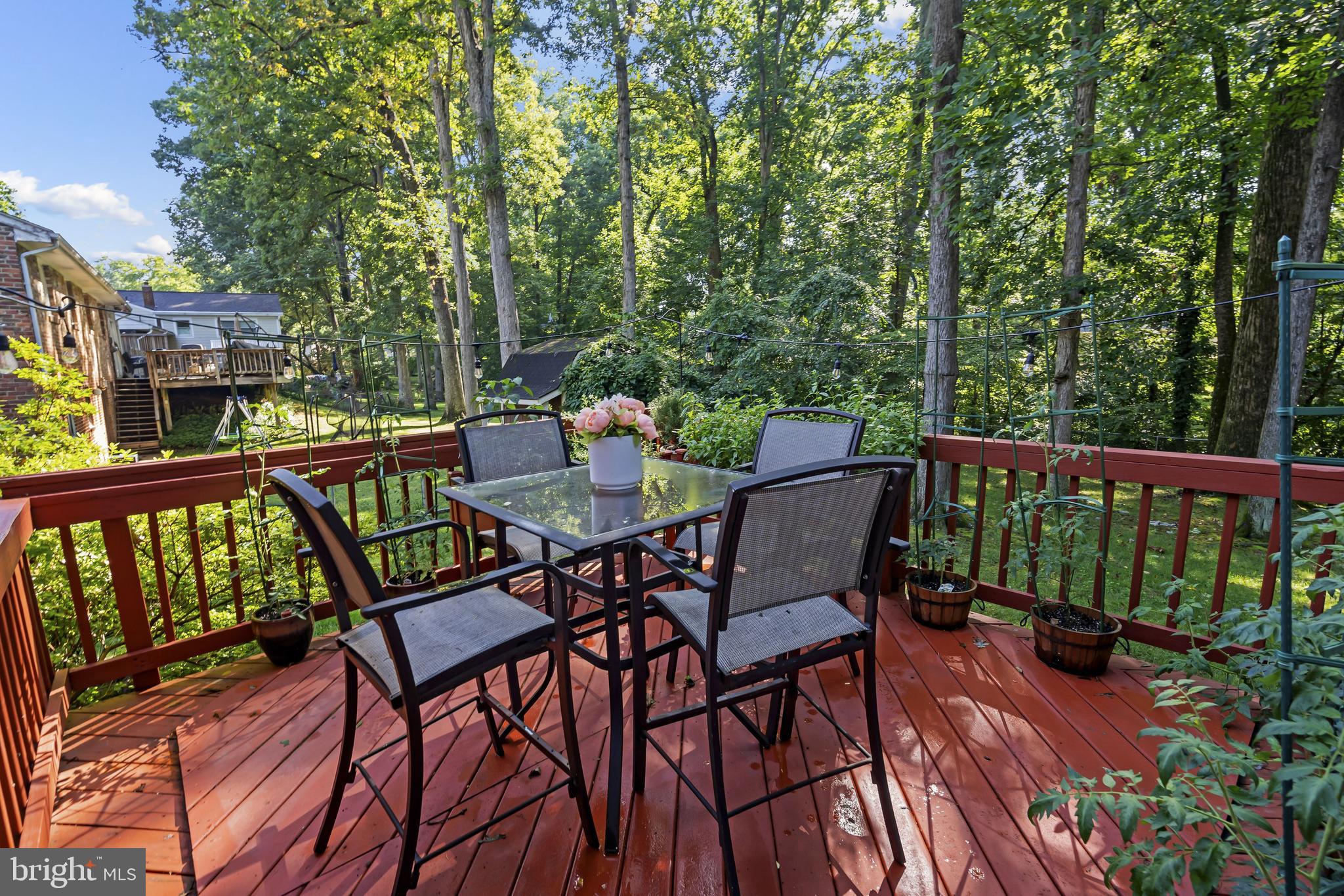 5633 Heming Avenue Springfield, VA 22151 - Photo 29 of 34