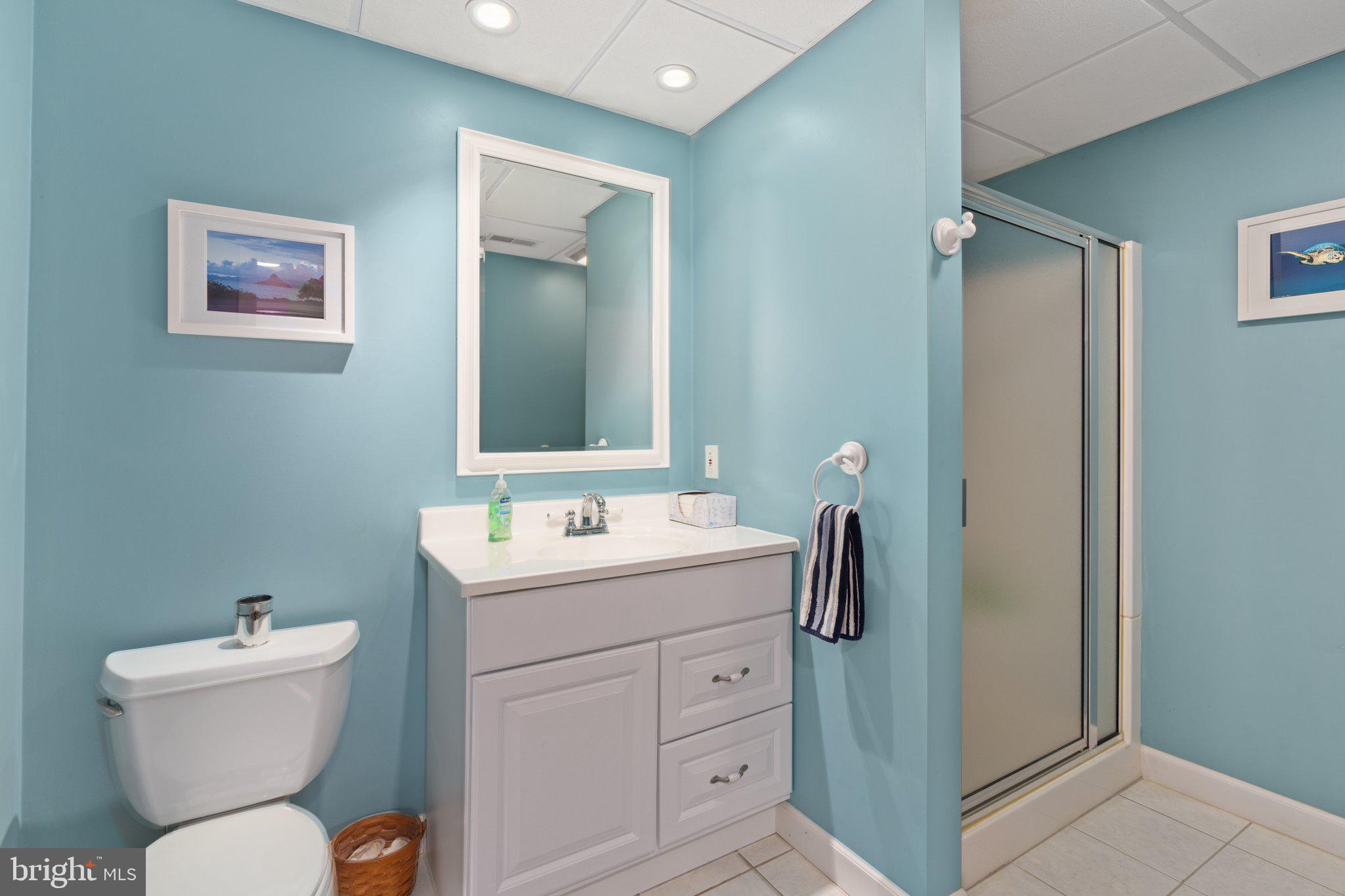 2187 Esten Road Quakertown, PA 18951 - Photo 45 of 72 Basement Full Bath
