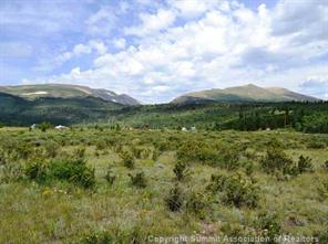 0 County Road 12 Road, Unit COUNTY Alma, CO 80420 - Photo 5 of 11 Gallery Image 5