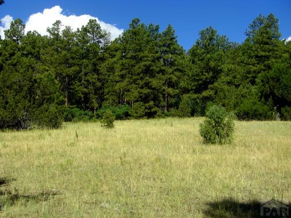 26 Signal Mountain Road Beulah, CO 81023 - Photo 5 of 5