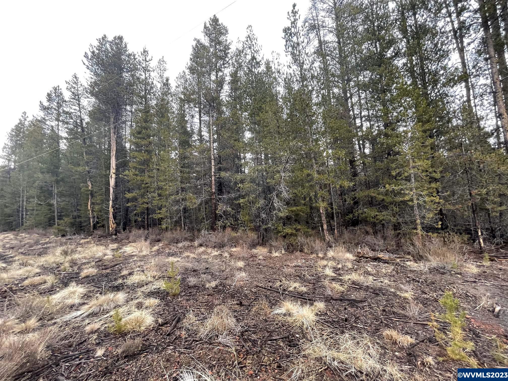 500 Cloudcap Drive Chiloquin, OR 97624 - Photo 22 of 23
