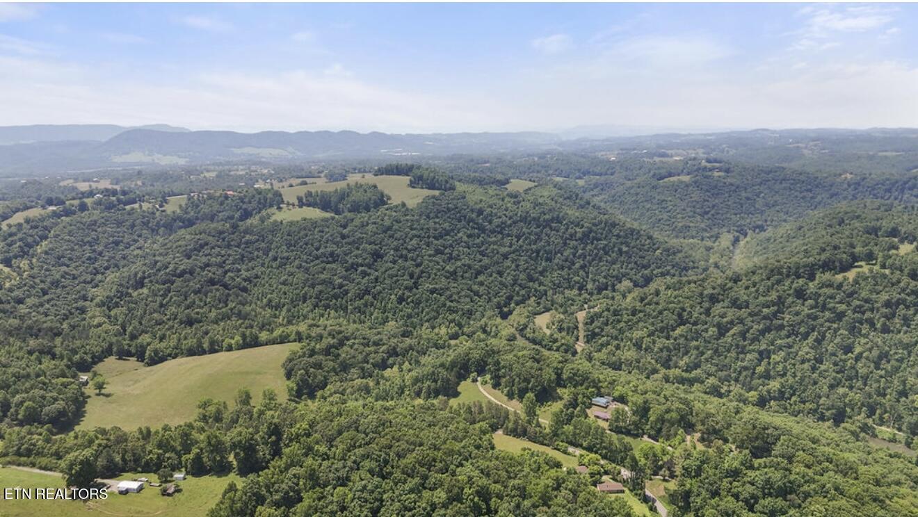 4151 Cave Springs Road Tazewell, TN 37879 - Photo 46 of 56 IMG_5445