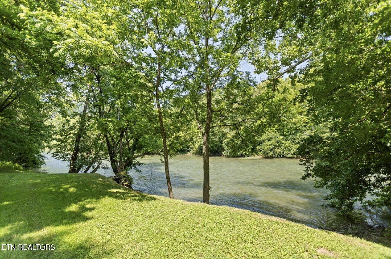 4151 Cave Springs Road Tazewell, TN 37879 - Photo 48 of 56 IMG_5434