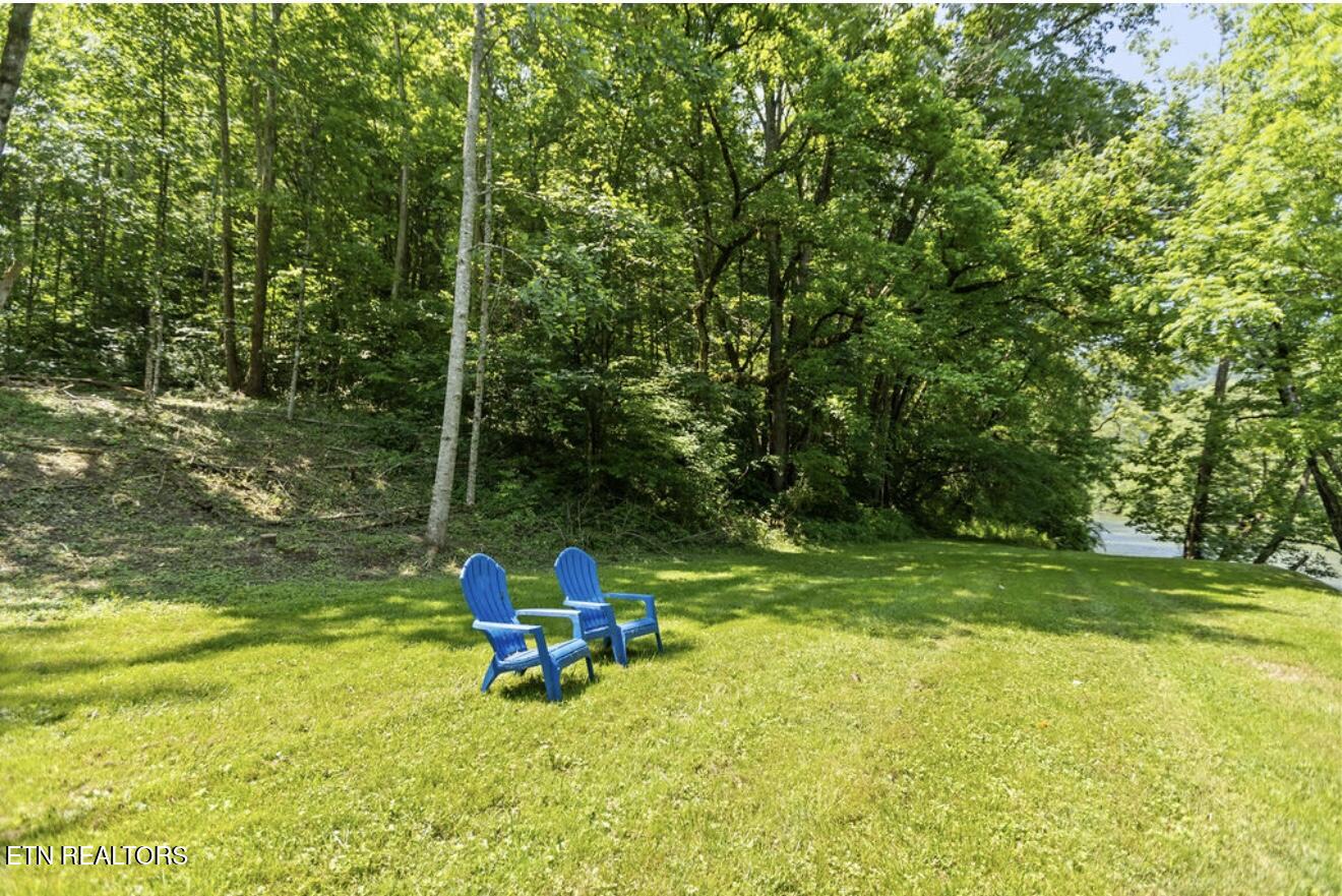 4151 Cave Springs Road Tazewell, TN 37879 - Photo 49 of 56 IMG_5433