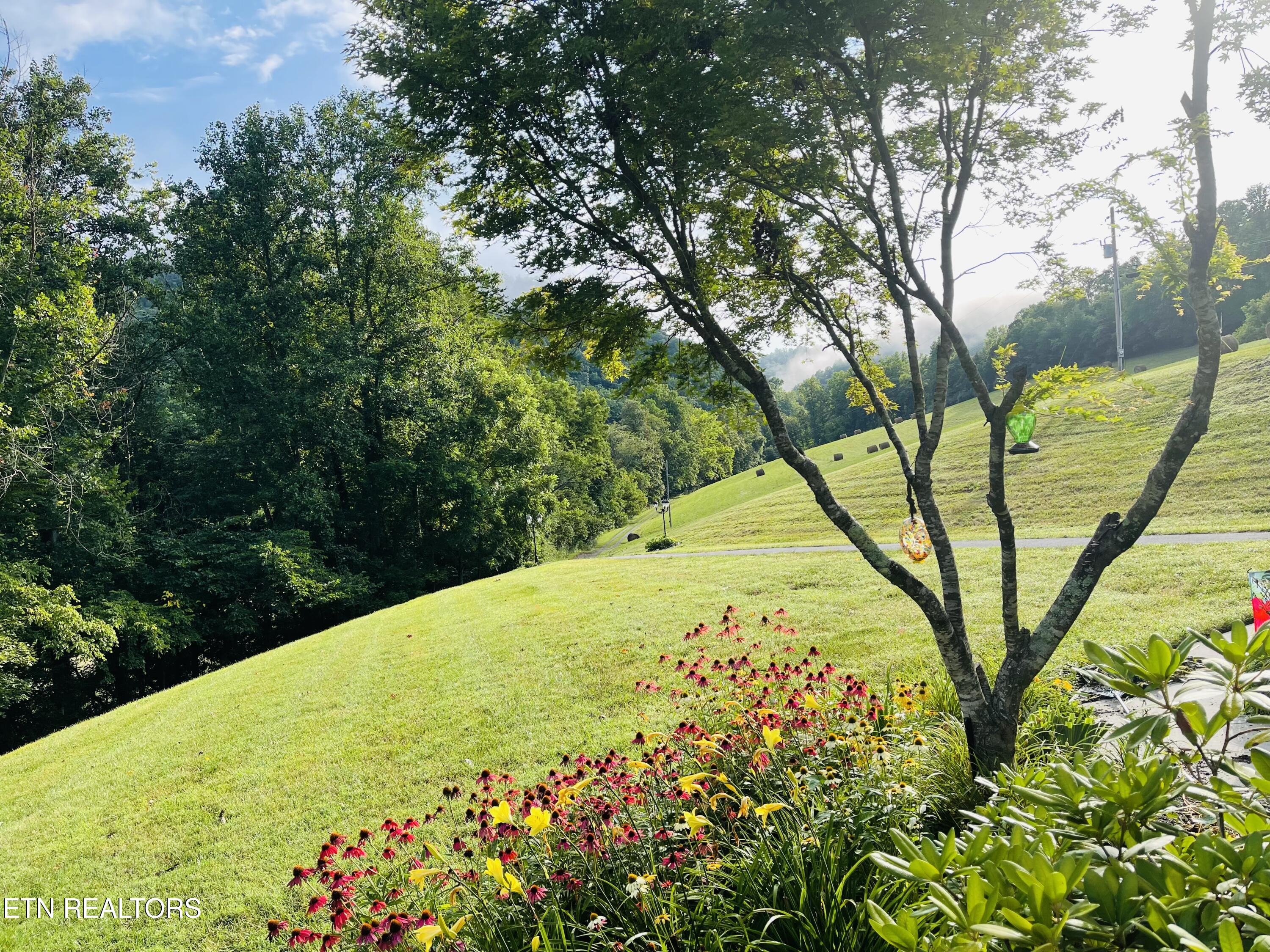 4151 Cave Springs Road Tazewell, TN 37879 - Photo 51 of 56 FullSizeRender