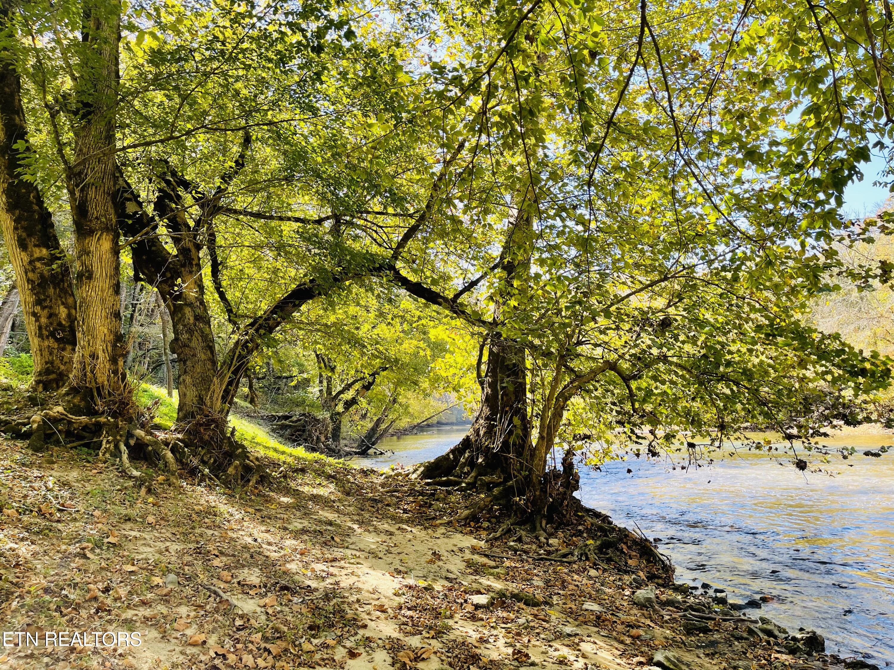 4151 Cave Springs Road Tazewell, TN 37879 - Photo 53 of 56 IMG_4524