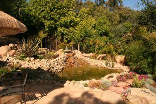1123 Glenview Road Santa Barbara, CA 93108 - Photo 13 of 15 a view of a tree with a yard